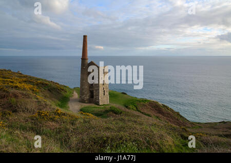 Wheal gedeihen am Rinsey in West Cornwall Stockfoto