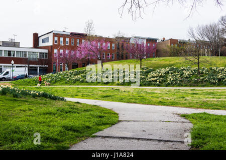 Häuser aus Patterson Park in Baltimore, Maryland erschossen Stockfoto