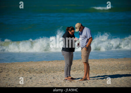 Menschen am Strand Muscheln suchen Stockfoto