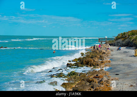 Venice Beach Florida USA Felsen am Strand Stockfoto