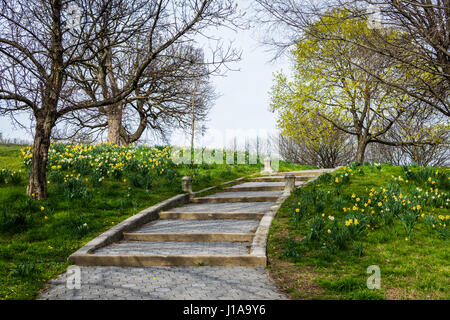Frühlingslandschaft Patterson Park mit Blumen in Baltimore maryland Stockfoto