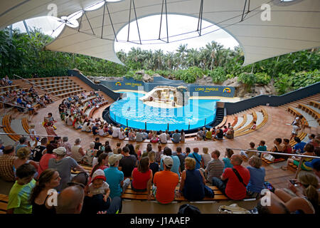 Das Publikum wartet auf Wasser-Show mit Seelöwen in Loro Parkue in der Nähe von Puerto De La Cruz, Teneriffa, Kanarische, Spanien. Stockfoto