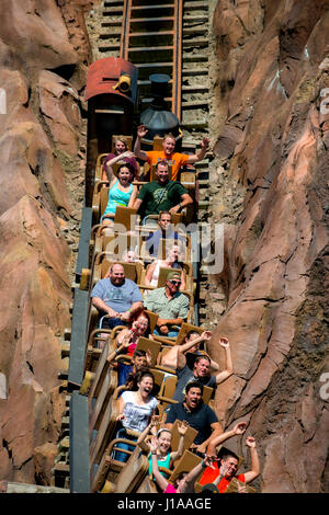 Walt Disney World-Fahrten Stockfoto