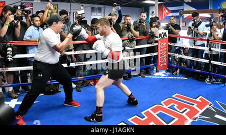 San Diego CA. 19. April 2017. Ehemaligen zwei-Teilung World Champion Canelo Alvarez arbeitet für die Medien in San Diego am Mittwoch. 19 April vor seiner Cinco De Mayo Wochenende Showdown gegen den ehemaligen WBC-Mittelgewichts-World Champion Julio Cesar Chavez, Jr. Der Kampf ist am Samstag, den 6. Mai. bei der T-Mobil-Arena und der Super-Kampf produziert und vertrieben werden live von HBO Pay-pro-View.Photo von Gene Blevins/LA Daily News/ZumaPress. Bildnachweis: Gene Blevins/ZUMA Draht/Alamy Live-Nachrichten Stockfoto