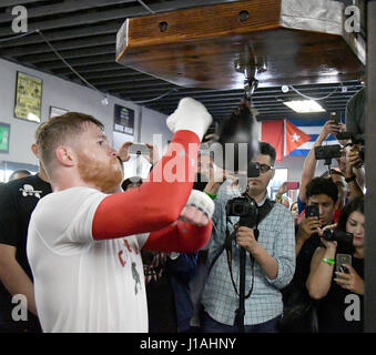 San Diego CA. 19. April 2017. Ehemaligen zwei-Teilung World Champion Canelo Alvarez arbeitet für die Medien in San Diego am Mittwoch. 19 April vor seiner Cinco De Mayo Wochenende Showdown gegen den ehemaligen WBC-Mittelgewichts-World Champion Julio Cesar Chavez, Jr. Der Kampf ist am Samstag, den 6. Mai. bei der T-Mobil-Arena und der Super-Kampf produziert und vertrieben werden live von HBO Pay-pro-View.Photo von Gene Blevins/LA Daily News/ZumaPress. Bildnachweis: Gene Blevins/ZUMA Draht/Alamy Live-Nachrichten Stockfoto