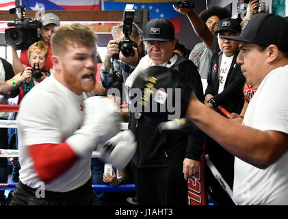 San Diego CA. 19. April 2017. Ehemaligen zwei-Teilung World Champion Canelo Alvarez arbeitet für die Medien in San Diego am Mittwoch. 19 April vor seiner Cinco De Mayo Wochenende Showdown gegen den ehemaligen WBC-Mittelgewichts-World Champion Julio Cesar Chavez, Jr. Der Kampf ist am Samstag, den 6. Mai. bei der T-Mobil-Arena und der Super-Kampf produziert und vertrieben werden live von HBO Pay-pro-View.Photo von Gene Blevins/LA Daily News/ZumaPress. Bildnachweis: Gene Blevins/ZUMA Draht/Alamy Live-Nachrichten Stockfoto