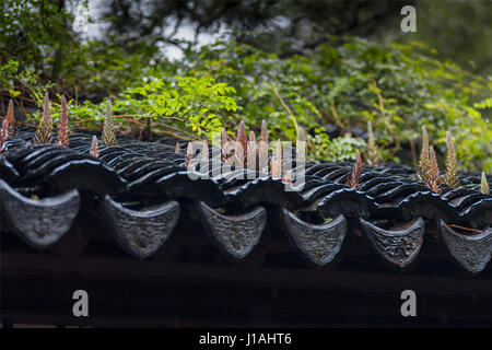 Suzhou, Suzhou, China. 17. April 2017. Suzhou, CHINA-17. April 2017: (nur zur redaktionellen Verwendung. CHINA HERAUS). Landschaft von Suzhou, der ostchinesischen Provinz Jiangsu. Suzhou, ehemals in Lateinschrift als Soochow, hat mehr als 2.500 Jahre Geschichte, mit einer reichlich Anzeige der Reliquien und historische Sehenswürdigkeiten. Der Stadt Kanäle, Steinbrücken, Pagoden und sorgfältig gestalteten Gärten haben um seinen Status als eines der Top-Attraktionen in China beigetragen. Die klassischen Gärten von Suzhou wurden in die Liste der UNESCO-Welterbestätten in 1997 und 2000 hinzugefügt. Suzhou ist oft genannt das "Venedig des th Stockfoto