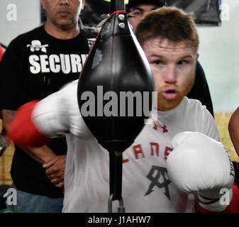 San Diego CA. 19. April 2017. Ehemaligen zwei-Teilung World Champion Canelo Alvarez arbeitet für die Medien in San Diego am Mittwoch. 19 April vor seiner Cinco De Mayo Wochenende Showdown gegen den ehemaligen WBC-Mittelgewichts-World Champion Julio Cesar Chavez, Jr. Der Kampf ist am Samstag, den 6. Mai. bei der T-Mobil-Arena und der Super-Kampf produziert und vertrieben werden live von HBO Pay-pro-View.Photo von Gene Blevins/LA Daily News/ZumaPress. Bildnachweis: Gene Blevins/ZUMA Draht/Alamy Live-Nachrichten Stockfoto