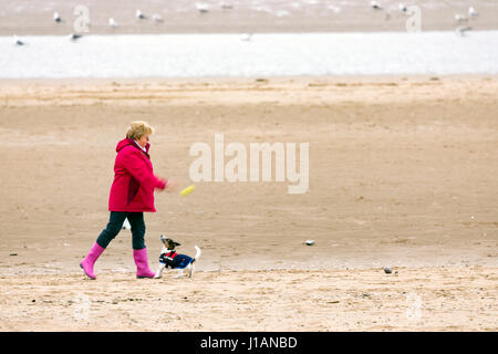 Eine Frau wirft einen Ball für ihren Jack Russell Hund am Strand im beliebten Badeort Rhyl in Denbighshire, Nordwales in hellen roten Mantel Stockfoto