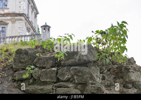 Alten Steinen des alten Pidhirzi Burgruine. Es ist eine Wohnburg im Dorf Pidhirzi in Lemberg Provinz, Westukraine gelegen. Stockfoto