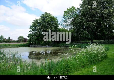 Dorf Teich, Biddenham, Bedfordshire, war einst der Manor-Karpfen-Teich und wurde im Jahr 1986 restauriert. Stockfoto