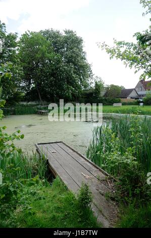 Dorf Teich, Biddenham, Bedfordshire, war einst der Manor-Karpfen-Teich und wurde im Jahr 1986 restauriert. Stockfoto