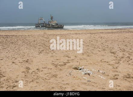 Schiffbruch am Strand, Skeleton Coast, Namibia Stockfoto