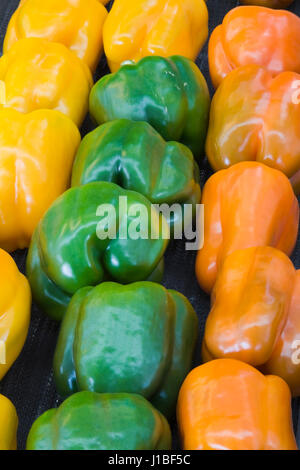 Frisch Gelb, Grün und Orange Paprika abgeholt Stockfoto