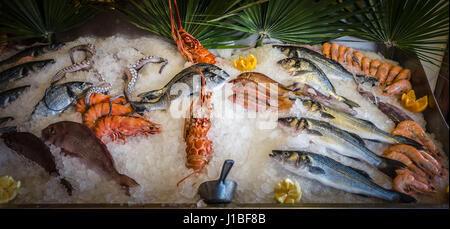 Frische Meeresfrüchte und Fische auf Eis in der Vitrine liegen. Rethymno auf Kreta, Griechenland. Stockfoto