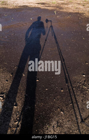 Shadow Porträt eines Fotografen mit einem Stativ in einem Sandkasten Stockfoto