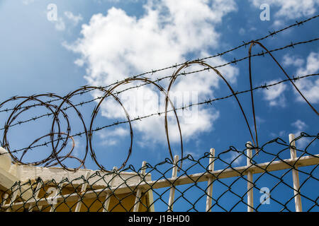 Spulen von Stacheldraht auf Maschendrahtzaun Stockfoto