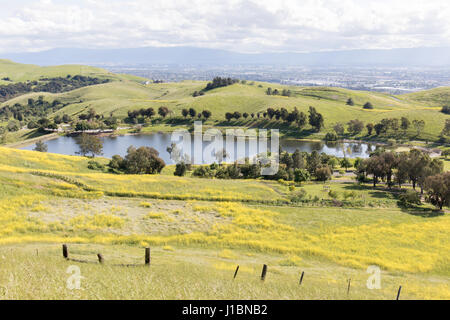 Sandy Wolle See und Santa Clara Valley im Frühling. Stockfoto