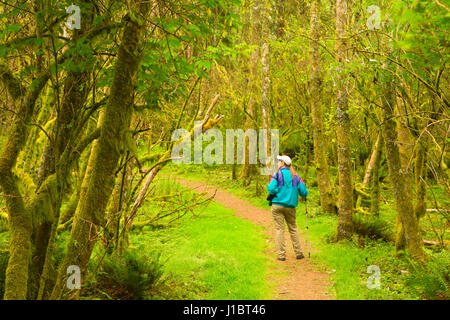 Cascade Kopf Trail, Cascade Kopf zu bewahren, Oregon Stockfoto