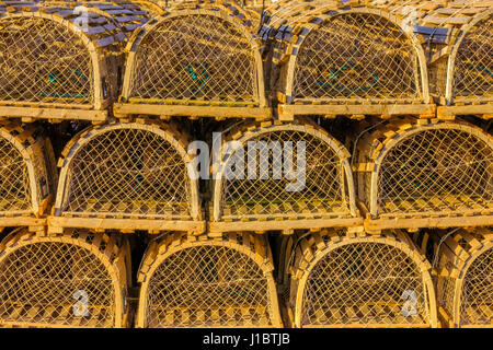 Hummer-Töpfe in Prince Edward Island, Canada Stockfoto