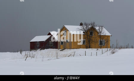Gelbes Bauernhaus und rote Nebengebäude im Schnee in der Nähe von Flakstad Kirche auf Flakstadoya, Lofoten Inseln, Norwegen Stockfoto