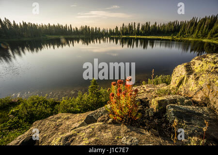 Crater Lake, West Nadel Mountains, Colorado. Stockfoto