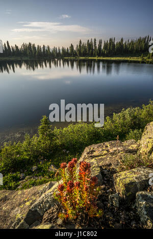 Crater Lake, West Nadel Mountains, Colorado. Stockfoto