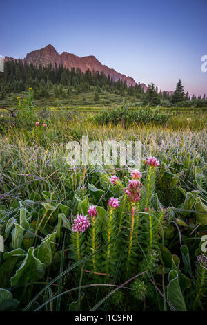 In der Nähe von Kratersee, West Nadel Mountains, Colorado. Stockfoto