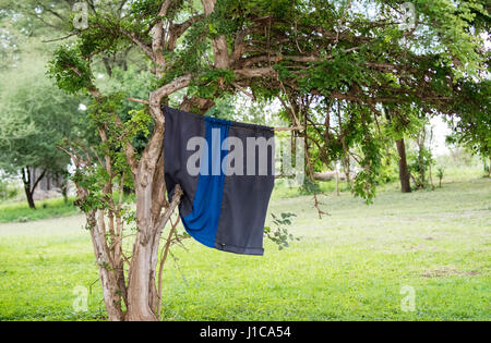 Tsetse-Fliege Falle in eine Landschaft im Norden von Tansania. Tsetse-Fliegen sind der Vektor für mehrere menschliche Tropenkrankheiten. Stockfoto