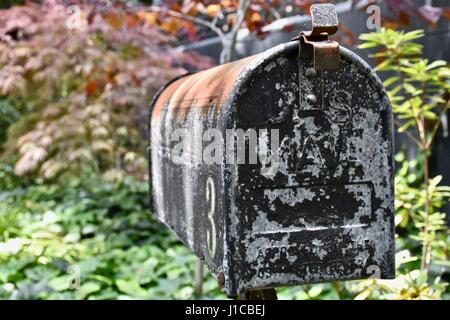 Alte rostige Postfach in verwilderten verlassenen Gegend Stockfoto