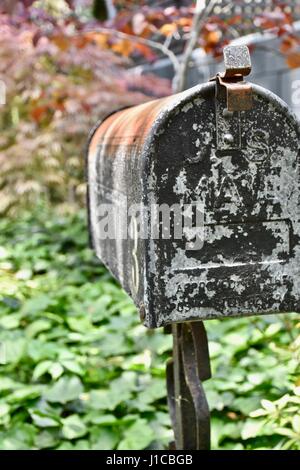 Alte rostige Postfach in verwilderten verlassenen Gegend Stockfoto