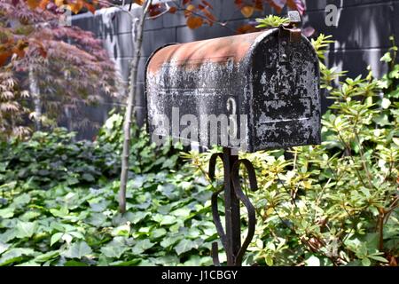 Alte rostige Postfach in verwilderten verlassenen Gegend Stockfoto