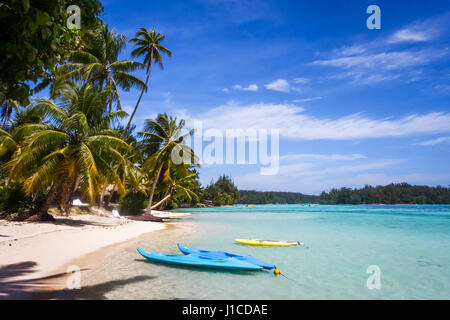 Tropisches Paradiesstrand und Lagune auf der Insel Moorea. Französisch-Polynesien Stockfoto