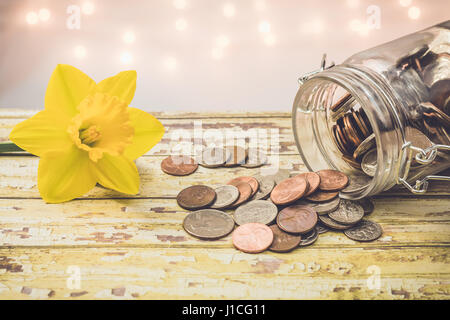 Verkauf Geld jar Einsparungen motivationalen Konzept auf Holzbrett mit gelben Narzissen Blume Stockfoto