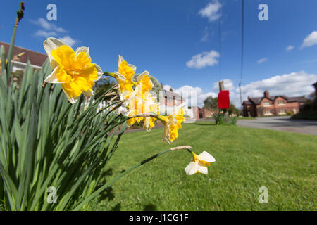 Dorf von Barton, England. Frühlings-Blick auf Barton Road, in der malerischen Cheshire Dorf von Barton. Stockfoto