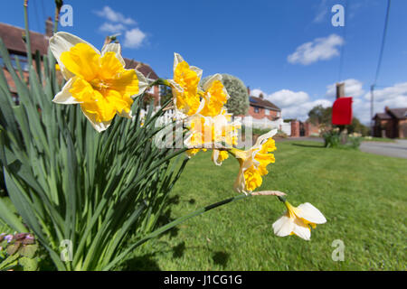 Dorf von Barton, England. Frühlings-Blick auf Barton Road, in der malerischen Cheshire Dorf von Barton. Stockfoto