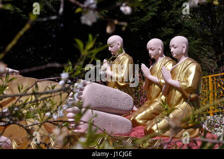 Tien Minh Pagode: ein Insolit buddhistische Heiligtum in die Capitale des Gaules, Lyon Stockfoto