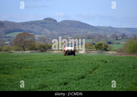 Ernte in der Landschaft von Sussex mit der South Downs National Park hinter Spritzen Stockfoto