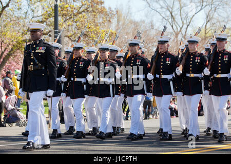 US Marine Corps Ehrengarde marschieren während der Parade - USA Stockfoto