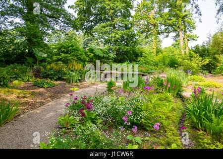 Die bunten Wald Garten Aberglasney House und Gärten, Llangathen, Carmarthenshire, Wales, UK Stockfoto