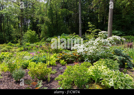 Die bunten Wald Garten Aberglasney House und Gärten, Llangathen, Carmarthenshire, Wales, UK Stockfoto