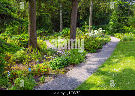 Die bunten Wald Garten Aberglasney House und Gärten, Llangathen, Carmarthenshire, Wales, UK Stockfoto