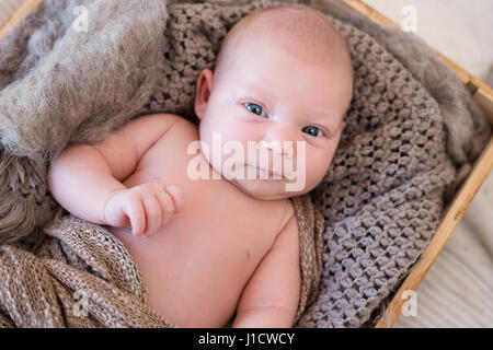 Neugeborenes Baby liegend in einer Holzkiste verpackt in gestrickte Schals und decken. Stockfoto