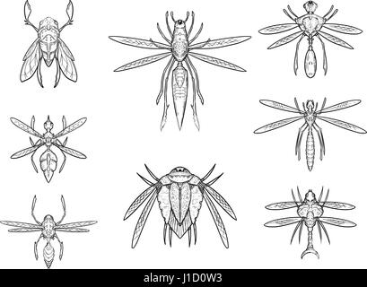 Satz von acht Cartoon Vektor hand gezeichnete alien Sci-Fi-Insekt Entwürfe in Top-down Ansicht Stock Vektor