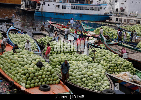 Boats packed with watermelons anchored Dhaka's Badamtali Fruit Market terminal, later than usual, increasing supplies. The start of their season was m Stockfoto