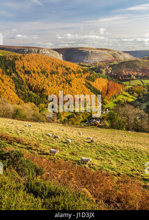 Blick vom Horseshoe Pass zeigt die Foel Plantage mit den Eglwyseg Kalkstein Escarpment auf Ruabon Berg im Hintergrund Südost Stockfoto