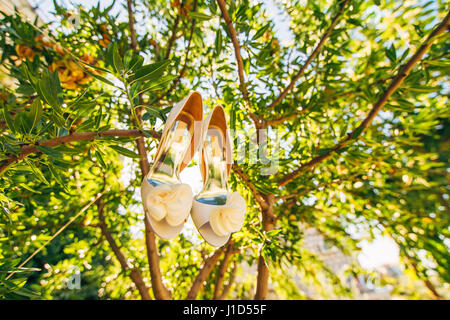 Hochzeit Schuhe der Braut hängen an einem Ast eines Olivenbaums Stockfoto