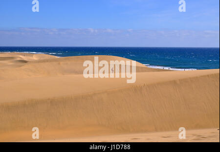 Dünen und Strand von Maspalomas auf Gran Canaria Kanarische Inseln in Spanien mit dem Atlantischen Ozean anzeigen Stockfoto