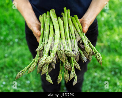 Landwirt mit frisch gepflückten grünen Spargel hautnah Stockfoto