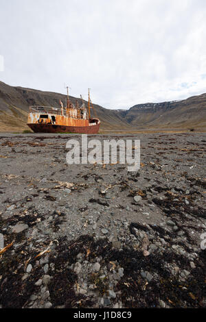 Schiff Wrack am Strand von Petreksfjoerdur, Nord-West-Island, Nordeuropa Stockfoto